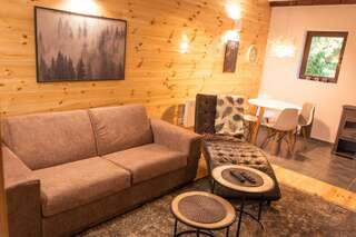 Виллы Wood Inn Жабляк Вилла с 2 спальнями-9